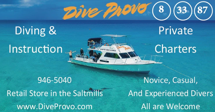 Dive Provo advert on the 2026 Road Map