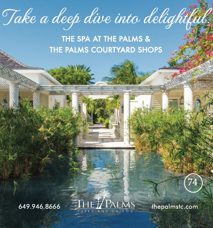 The Spa at The Palms advert on the 2026 Road Map